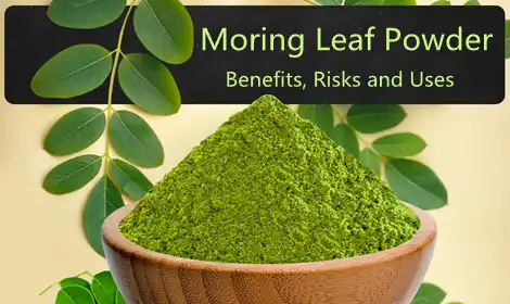 Moringa Powder Benefits, Uses and Potential Side Effect